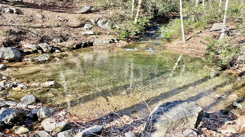 Swimming Hole Along Riprap Trail