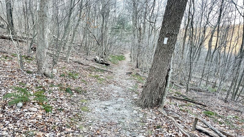 Appalachian Trail at Shenandoah National Park