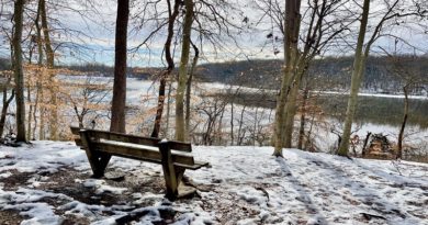 Lake Accotink Trail | Lake Accotink Park Overlook