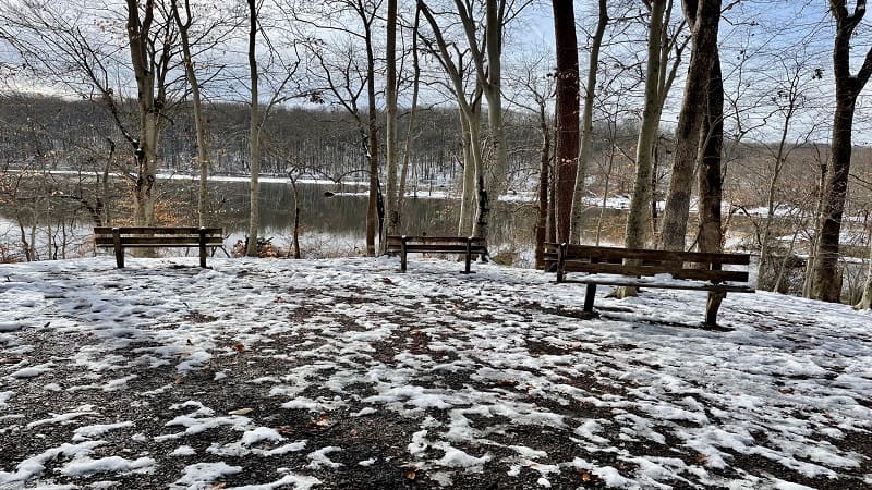 Lake Accotink Park Benches