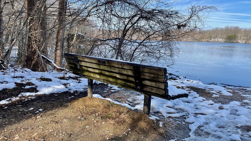 Lake Accotink Park Bench