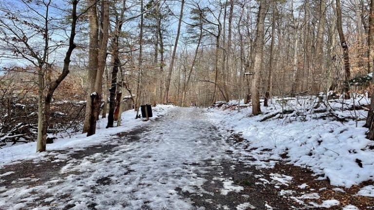 Lake Accotink Trail: A Reservoir Loop Hike in Springfield