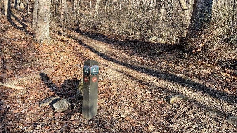 Crooked Tree Trail Marker