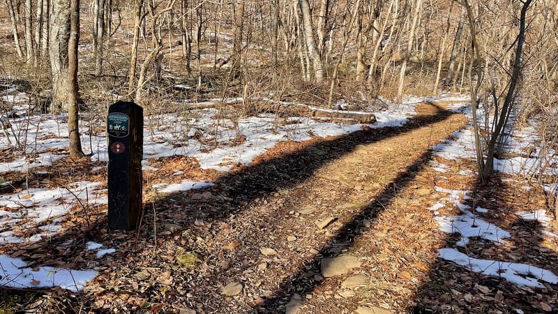 Little Flat Mountain Loop Trail Marker