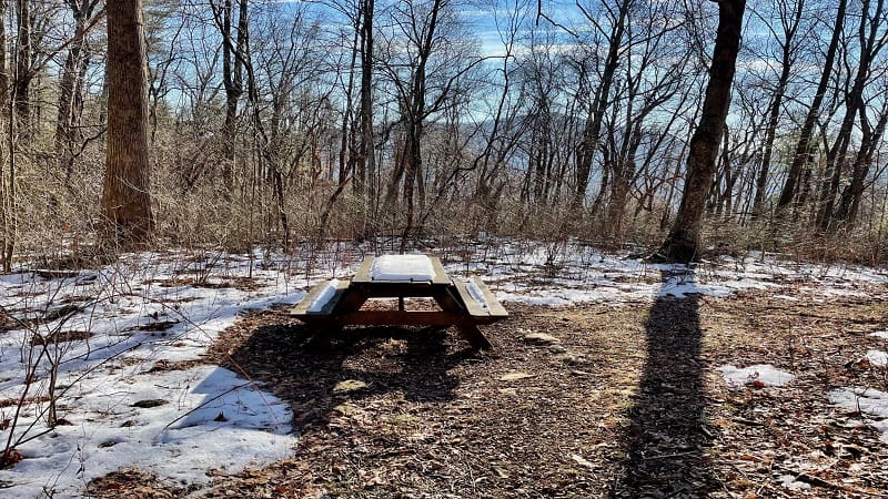 Picnic Table at Patricia Ann Byrom Forest Preserve Park