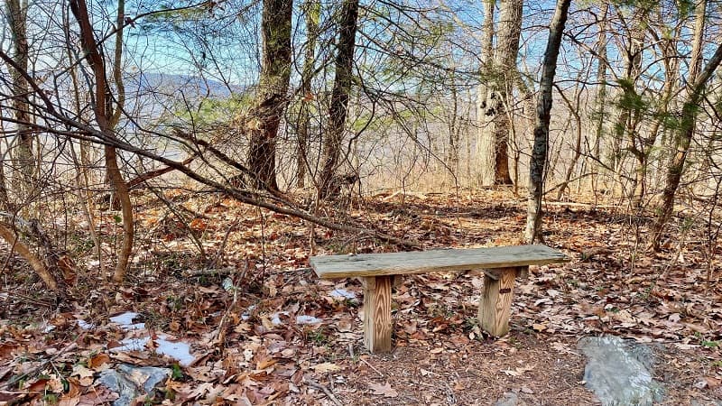 Wooden Bench with Mountain Views