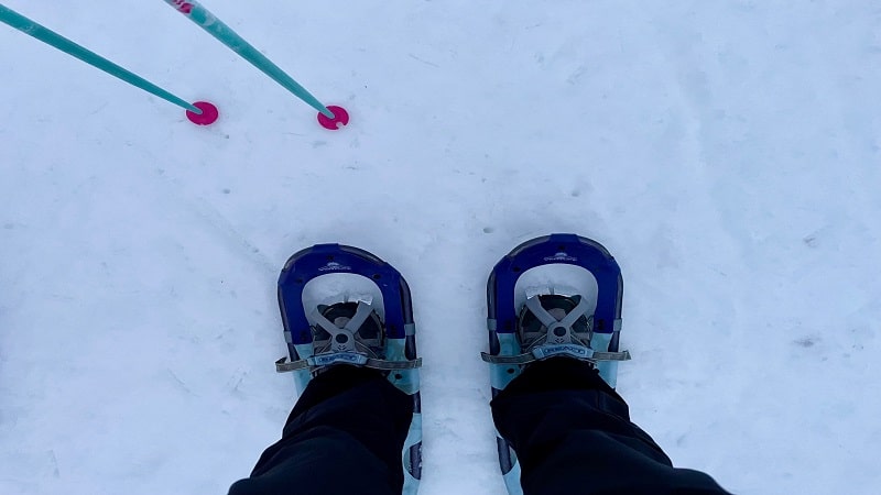 Snowshoes on Snow