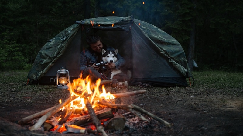 Tent Camping with Dog