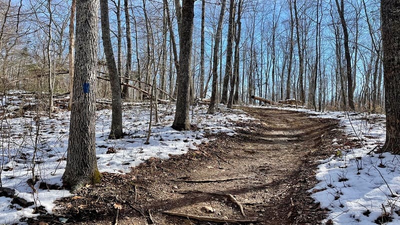 Whitney State Forest