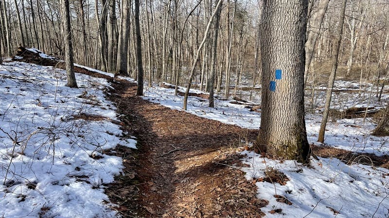 Double Blue Blaze at Whitney State Forest