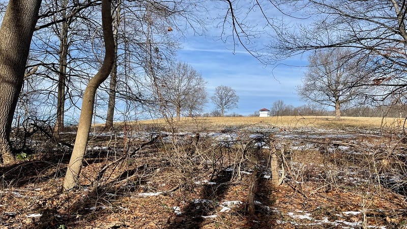 Farm Near Whitney State Forest