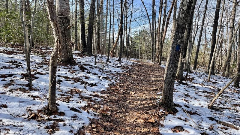 Whitney State Forest - Blue Blazed Hiking Trail