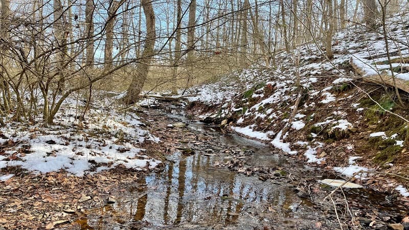 Water Crossing at Whitney State Forest