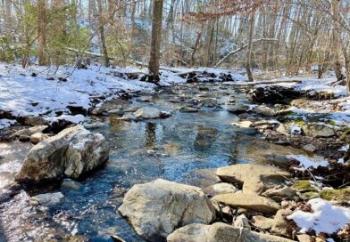 Wolf Trap Creek Along the Wolf Trap Trail in Vienna, Virginia