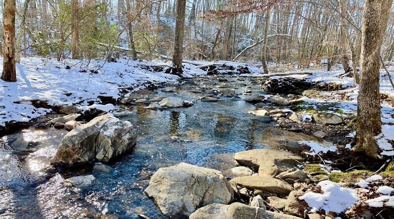 Wolf Trap Creek Along the Wolf Trap Trail in Vienna, Virginia