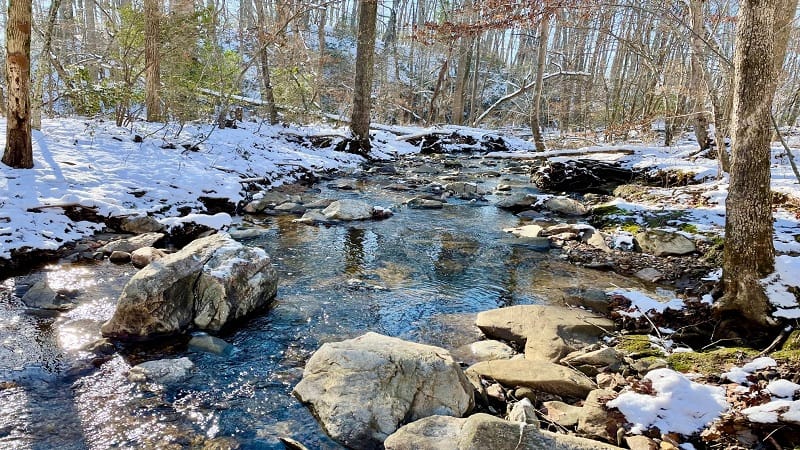 Wolf Trap Creek Along the Wolf Trap Trail in Vienna, Virginia