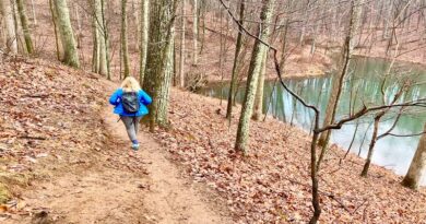 Hiking at Ragged Mountain Natural Area in Charlottesville, Virginia