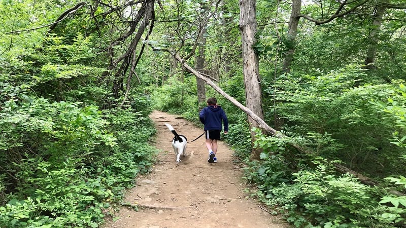 Hiking with Kids and Dogs