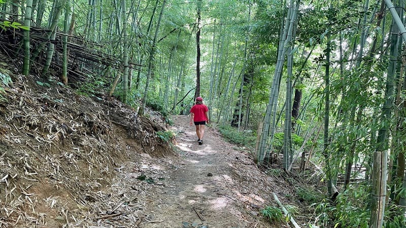 Hiking with Kids