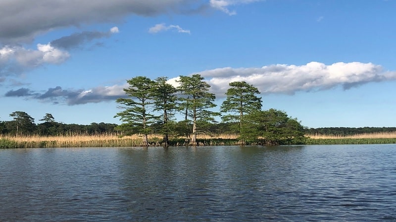 Jamestown Island Trail