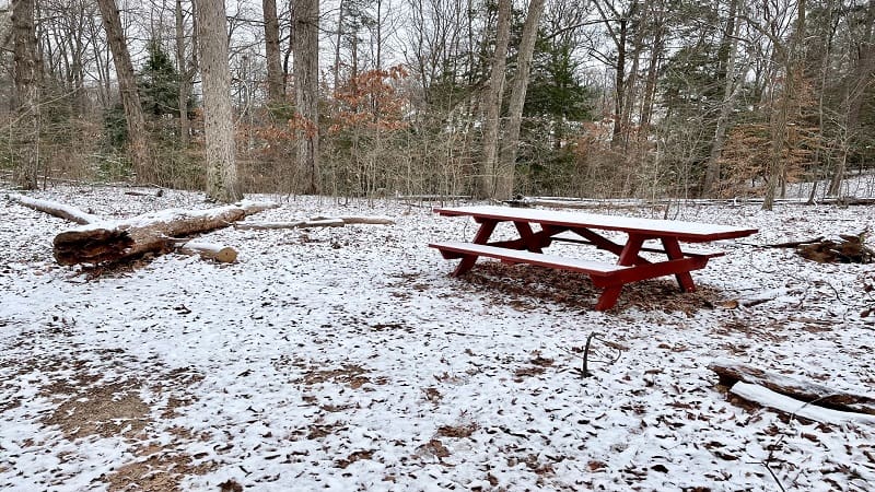 Picnic Table at Larus Park