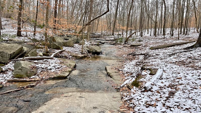 Larus Park Hiking Trails in Richmond, Virginia