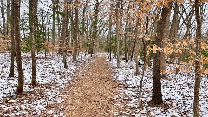 Hiking Trail at Larus Park