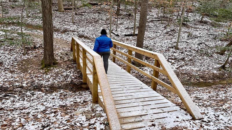 Footbridge at Larus Park