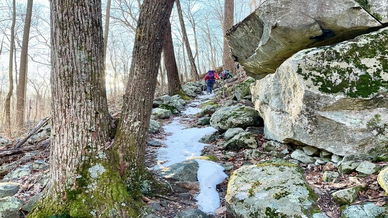 Robertson Mountain Trail