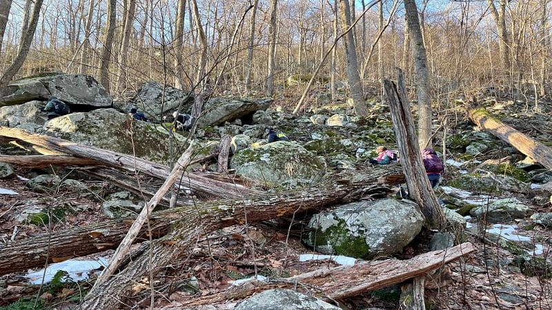 Climbing Robertson Mountain Trail