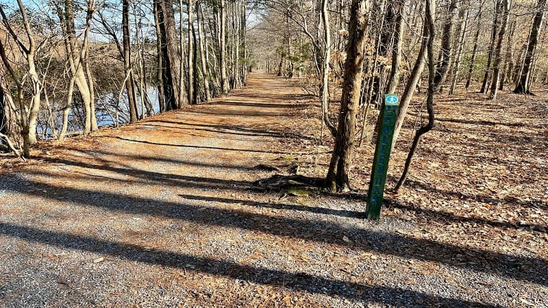Fallen Oak Trail at Sandy Bottom Nature Park