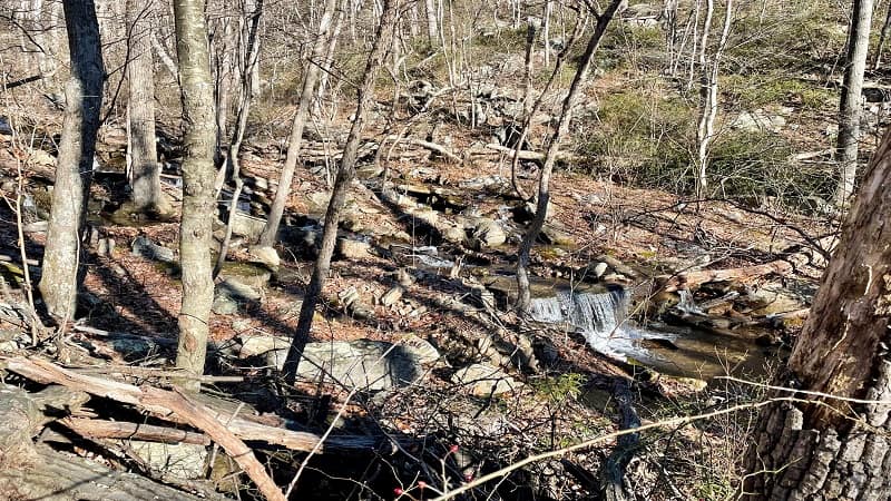 Cascades on Sulphur Springs Gap Trail