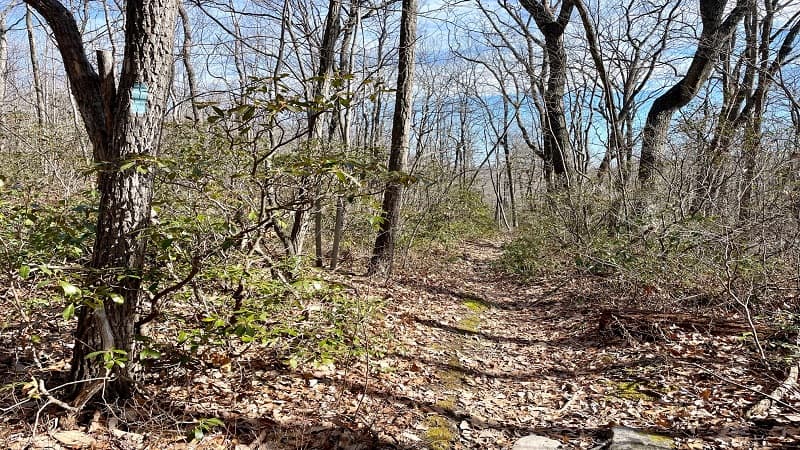 Final Steps on Tuscarora Trail