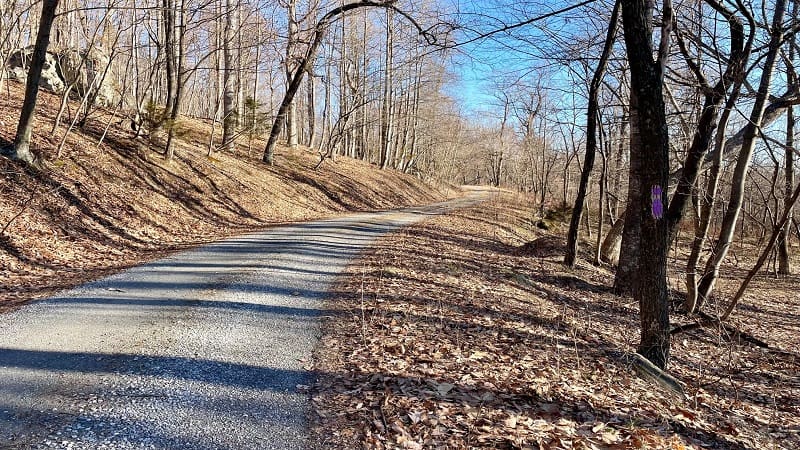 Trailhead for Sulphur Springs Gap Trail