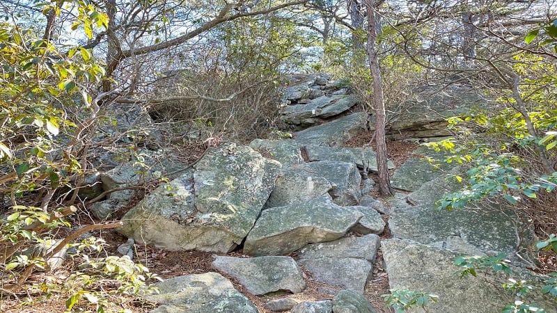 Rock Scramble to White Rocks