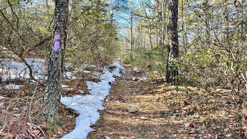 Sulphur Springs Gap Trail