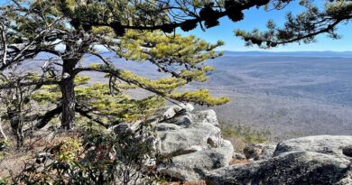 White Rocks Overlook Views from Sulphur Springs Gap Trail Hike in Shenandoah County, Virginia