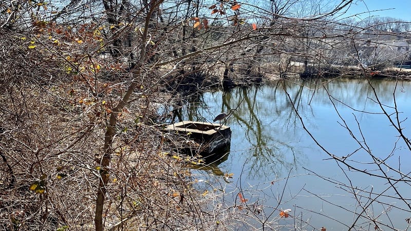 Canal Path in Fredericksburg