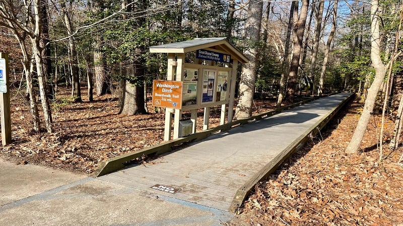 Great Dismal Swamp Boardwalk Trail