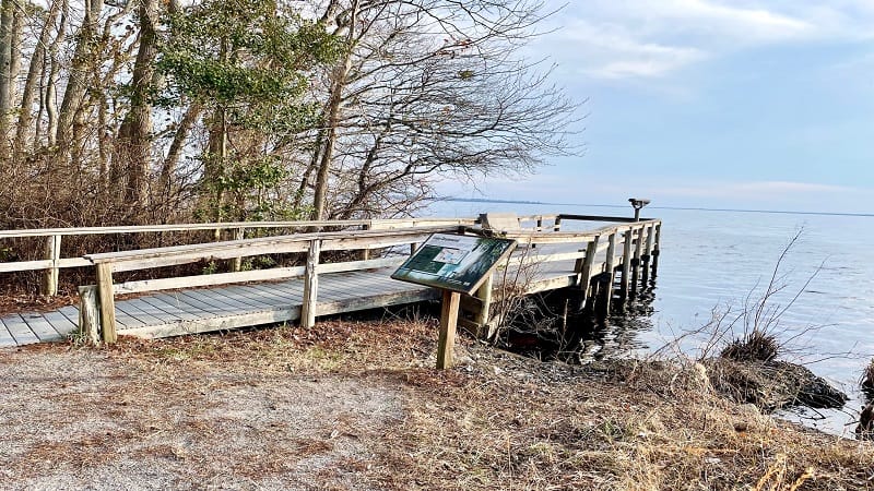 Fishing Pier at Lake Drummond