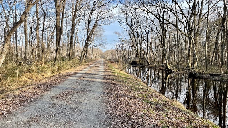 Great Dismal Swamp Virginia Hiking Trail