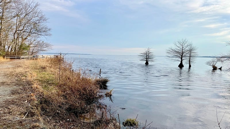 Lake Drummond