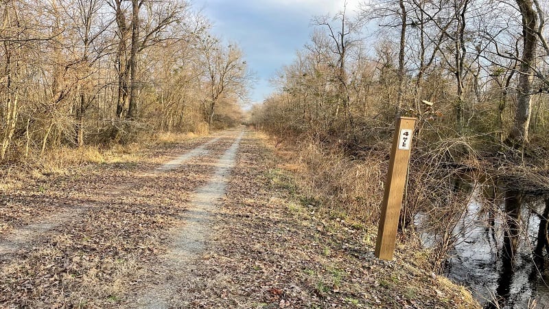 Great Dismal Swamp Mile Marker Sign