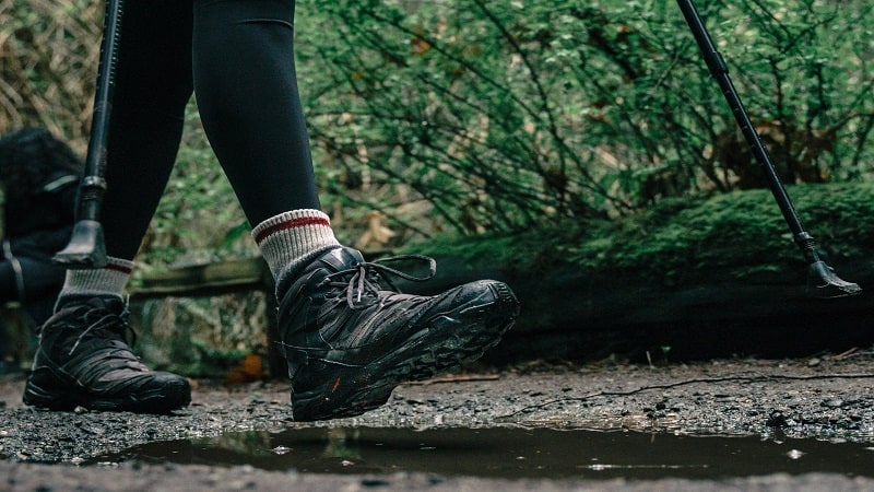 Hiking Boots in Forest