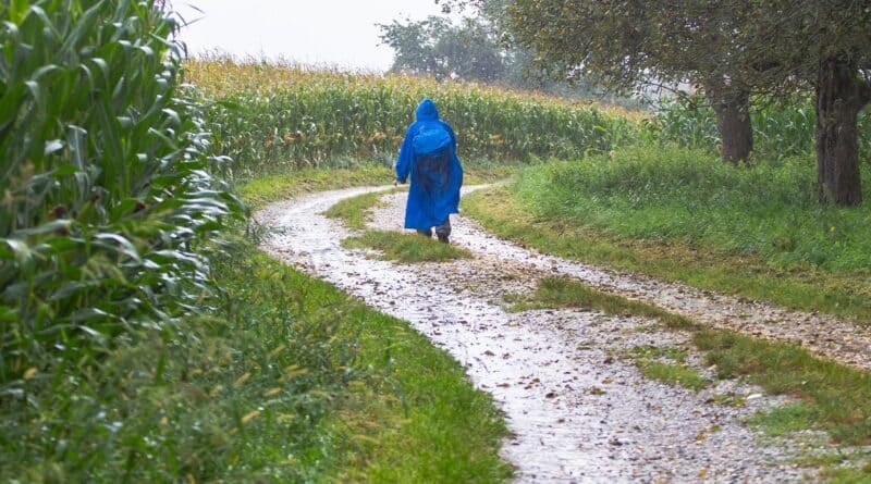 Hiking in the Rain | Hiking Rain Gear | Tips for Hiking in the Rain