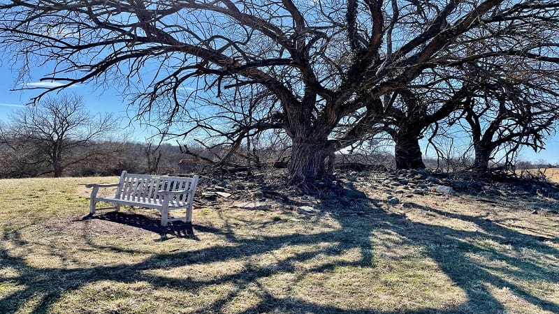 Bench at Museum of the Shenandoah Valley