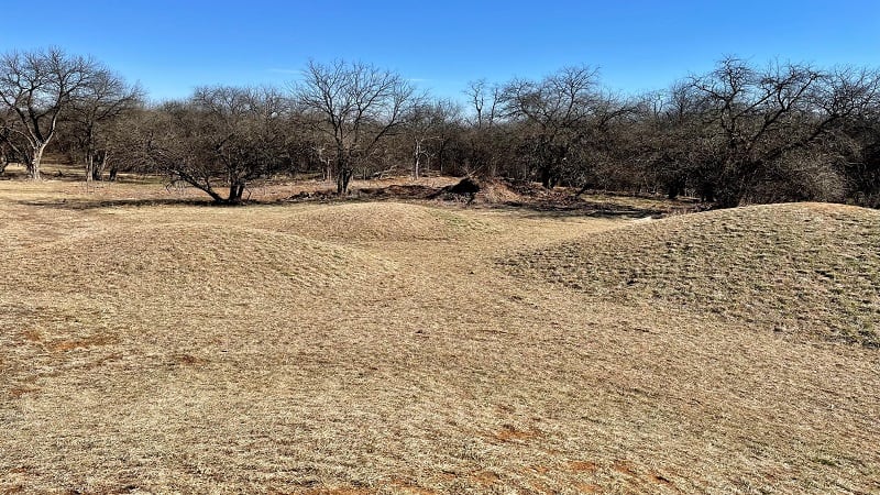 Picnic Mounds