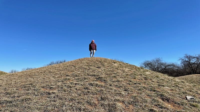 Picnic Mounds