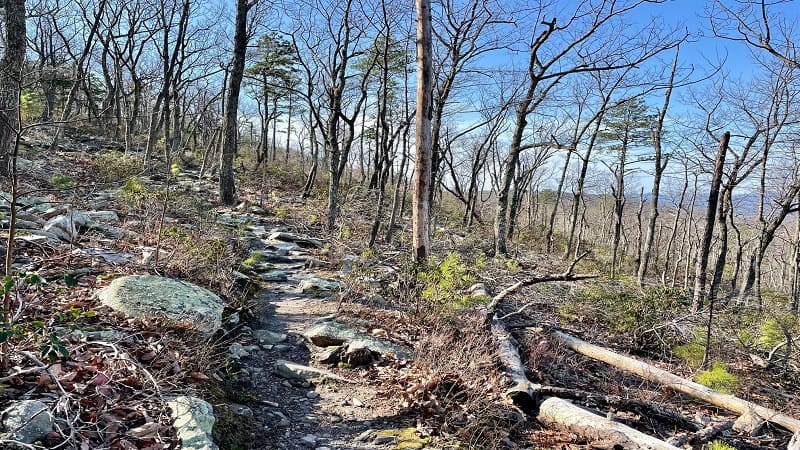 Rocky Trail