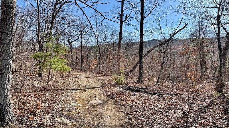 Massanutten Trail